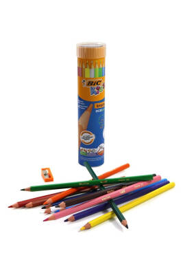 Bic Kuru Boya Kalemi 12+1 Metal Tüp - 3