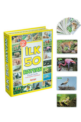 Diytoy Flash Cards İlk 50 Hayvan - 1