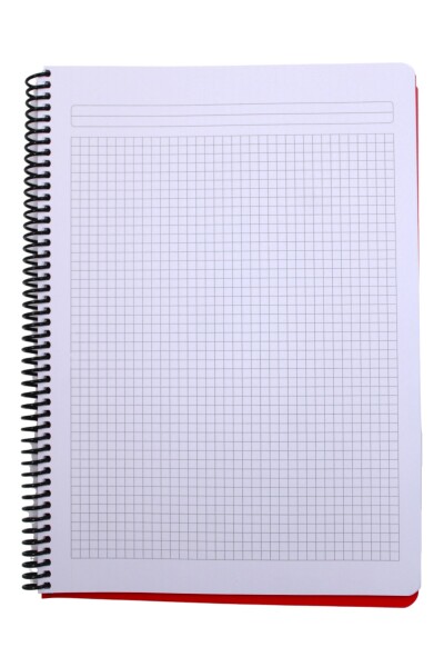 Mynote Flex A4 140 Yaprak Kareli Spiralli Plastik Kapak Defter - 24