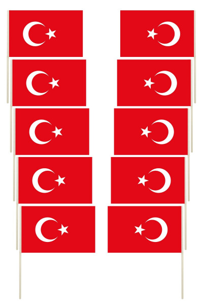 Sopalı Türk Bayrağı 10'lu Set - 1